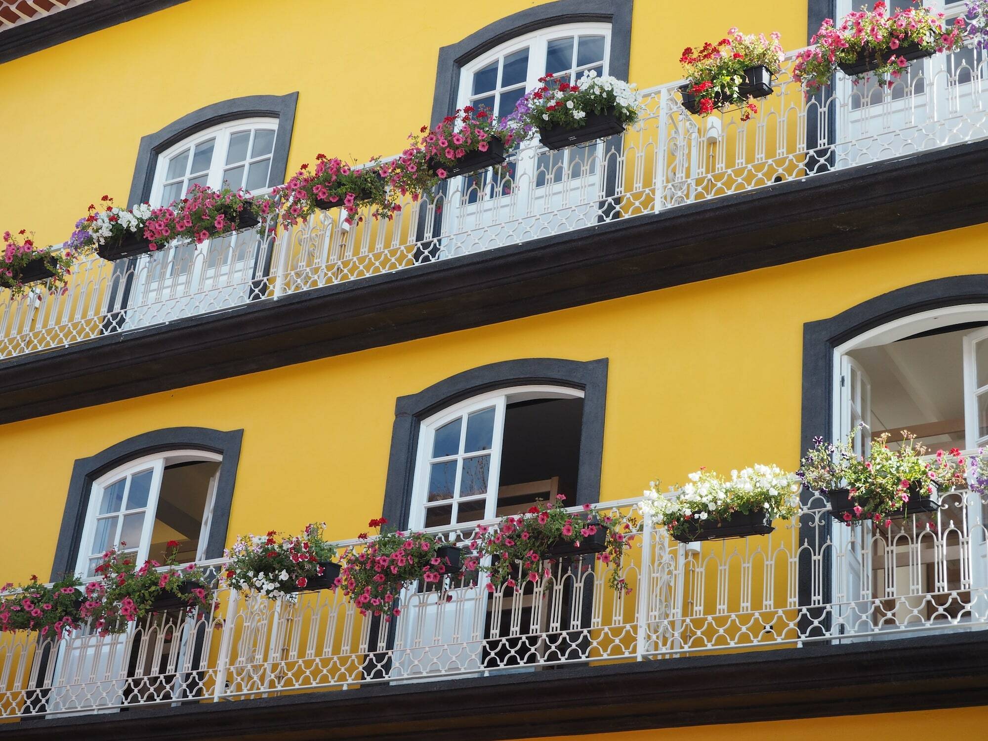 Globo Happy Hostel Angra do Heroísmo Eksteriør bilde